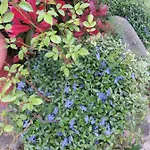Ecrin De Verdure 3* Sainte-Suzanne (Mayenne)