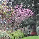 Ecrin De Verdure
