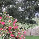 Gæstehus Ecrin De Verdure Sainte-Suzanne (Mayenne)