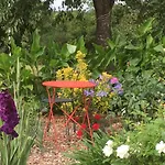 Ecrin De Verdure Sainte-Suzanne (Mayenne)