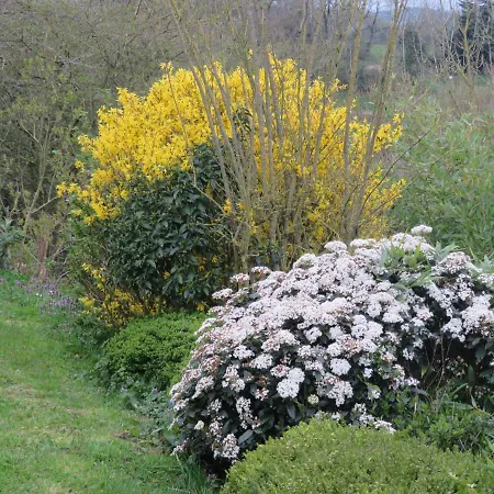 Ecrin De Verdure Gasthof