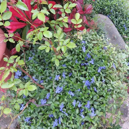 Ecrin De Verdure 3* Sainte-Suzanne (Mayenne)