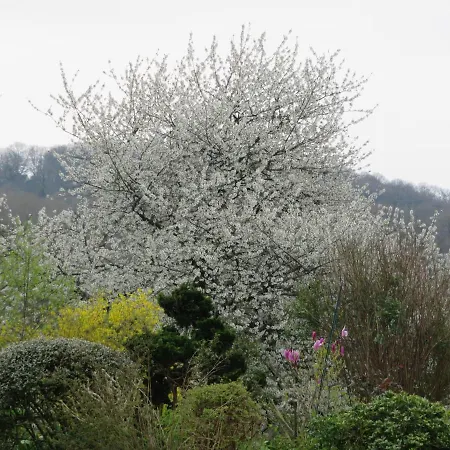Ecrin De Verdure