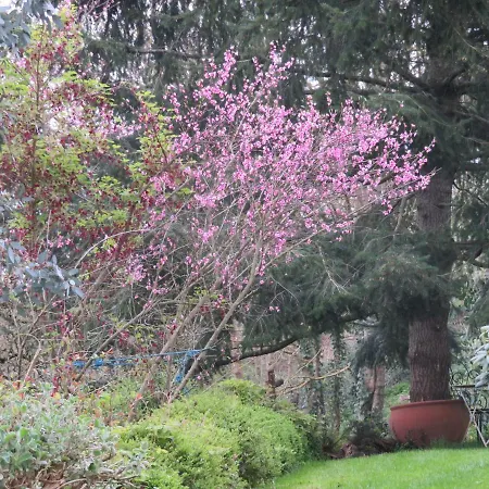 Ecrin De Verdure