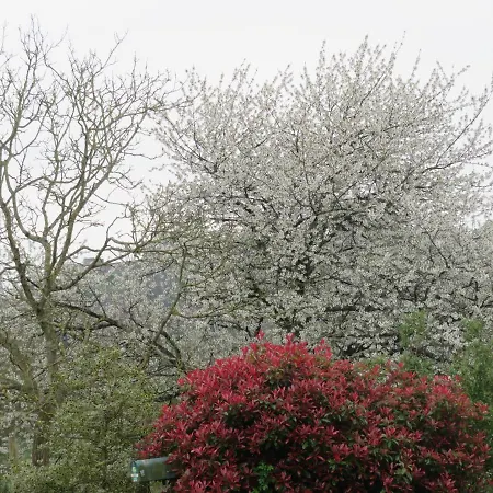 Affittacamere Ecrin De Verdure 3*