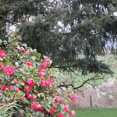 Guest house Ecrin De Verdure Sainte-Suzanne (Mayenne)