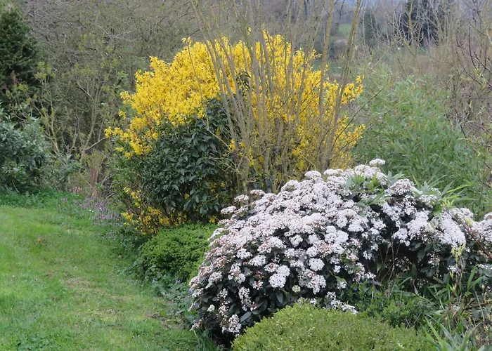 Ecrin De Verdure Gasthof