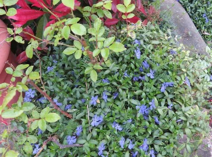 Ecrin De Verdure 3* Sainte-Suzanne (Mayenne)