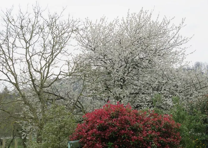 בית הארחה Ecrin De Verdure 3*