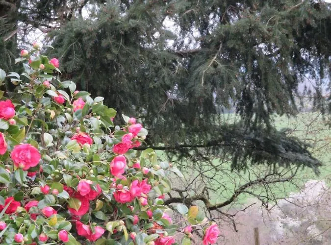 Affittacamere Ecrin De Verdure Sainte-Suzanne (Mayenne)