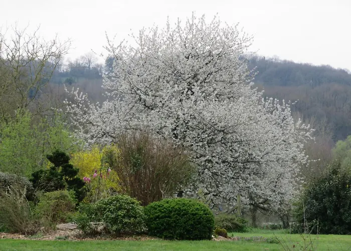 Ecrin De Verdure Gasthof 3*