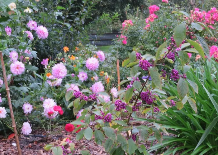 Ecrin De Verdure Affittacamere 3*